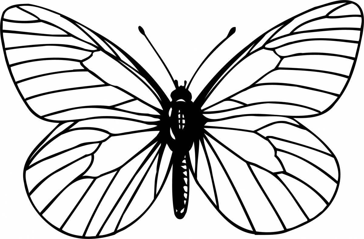 Beautiful butterfly coloring page