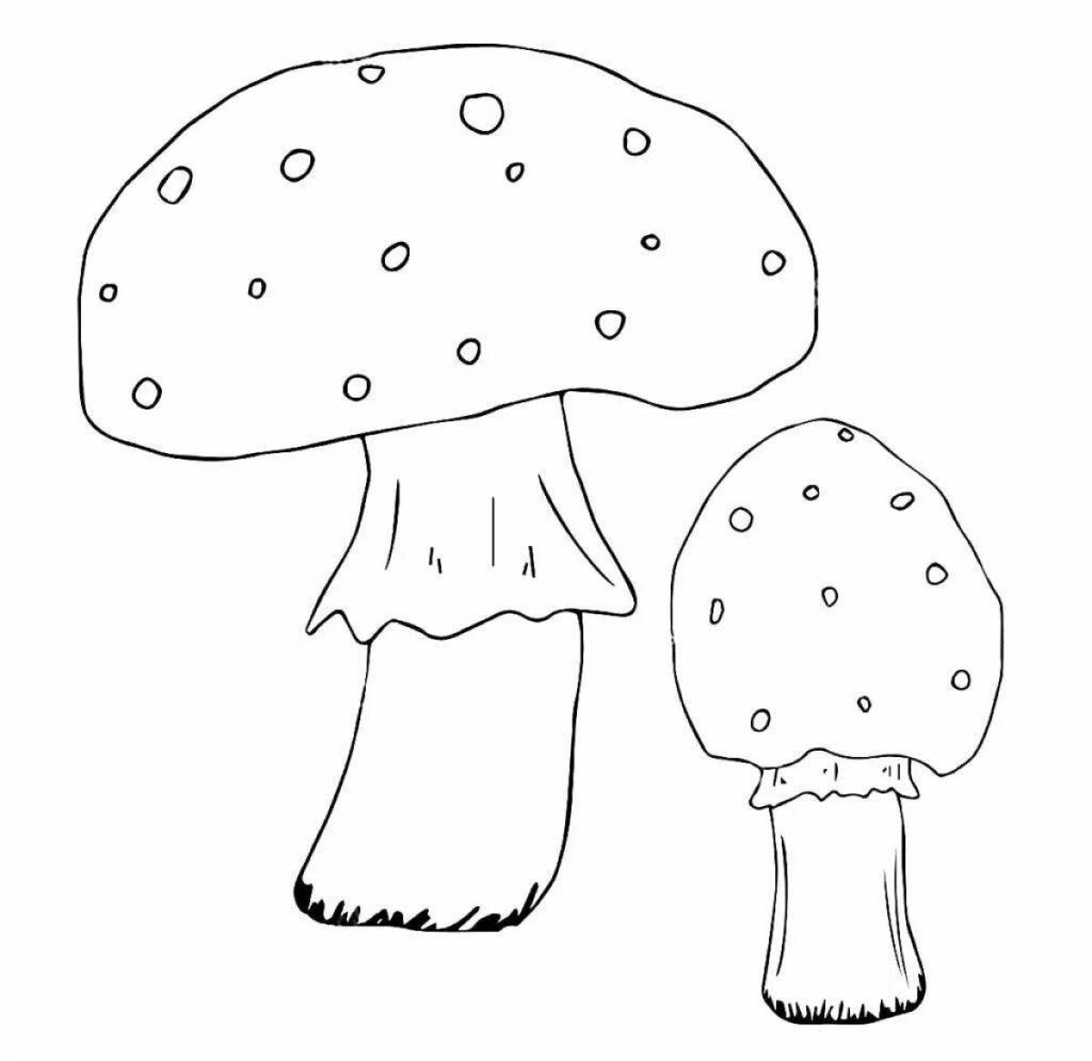 Happy toadstool mushrooms