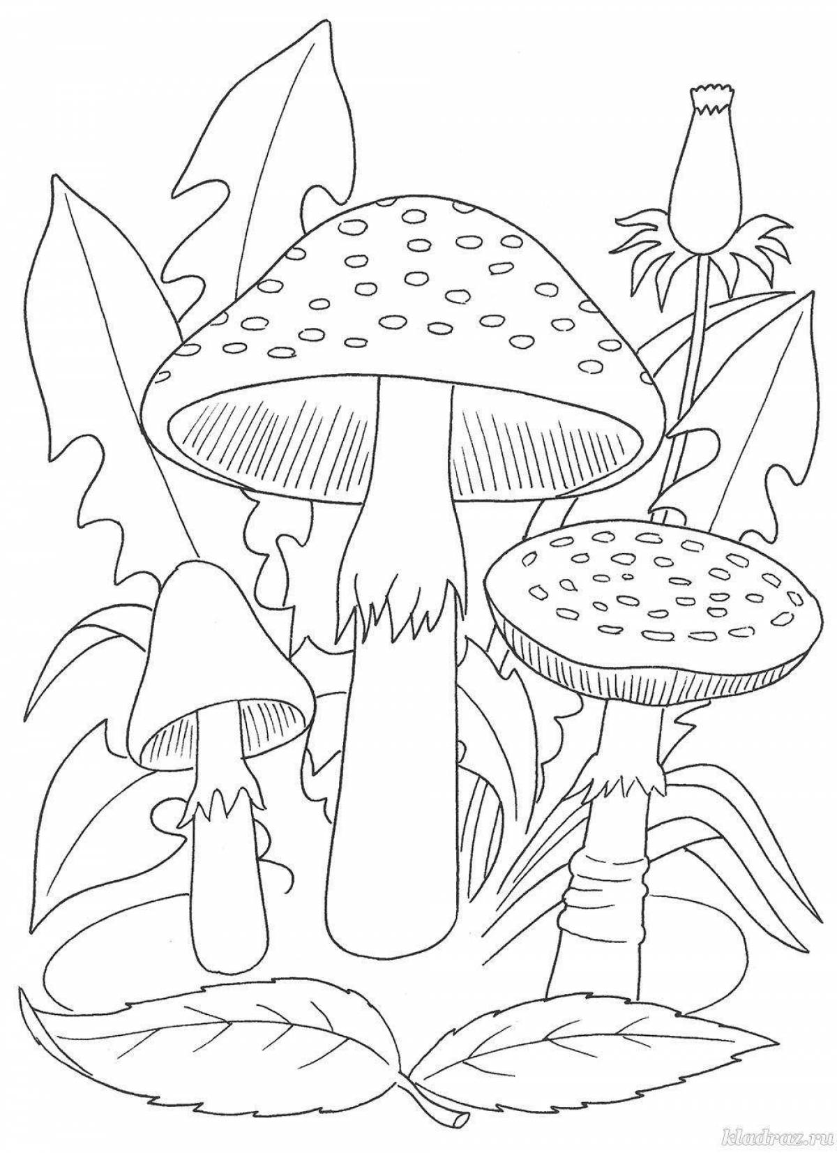 Fun toadstool mushrooms
