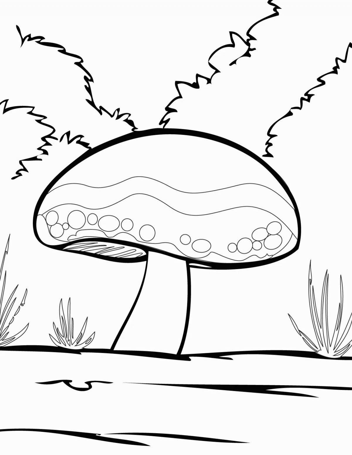 Magnificent toadstool mushrooms