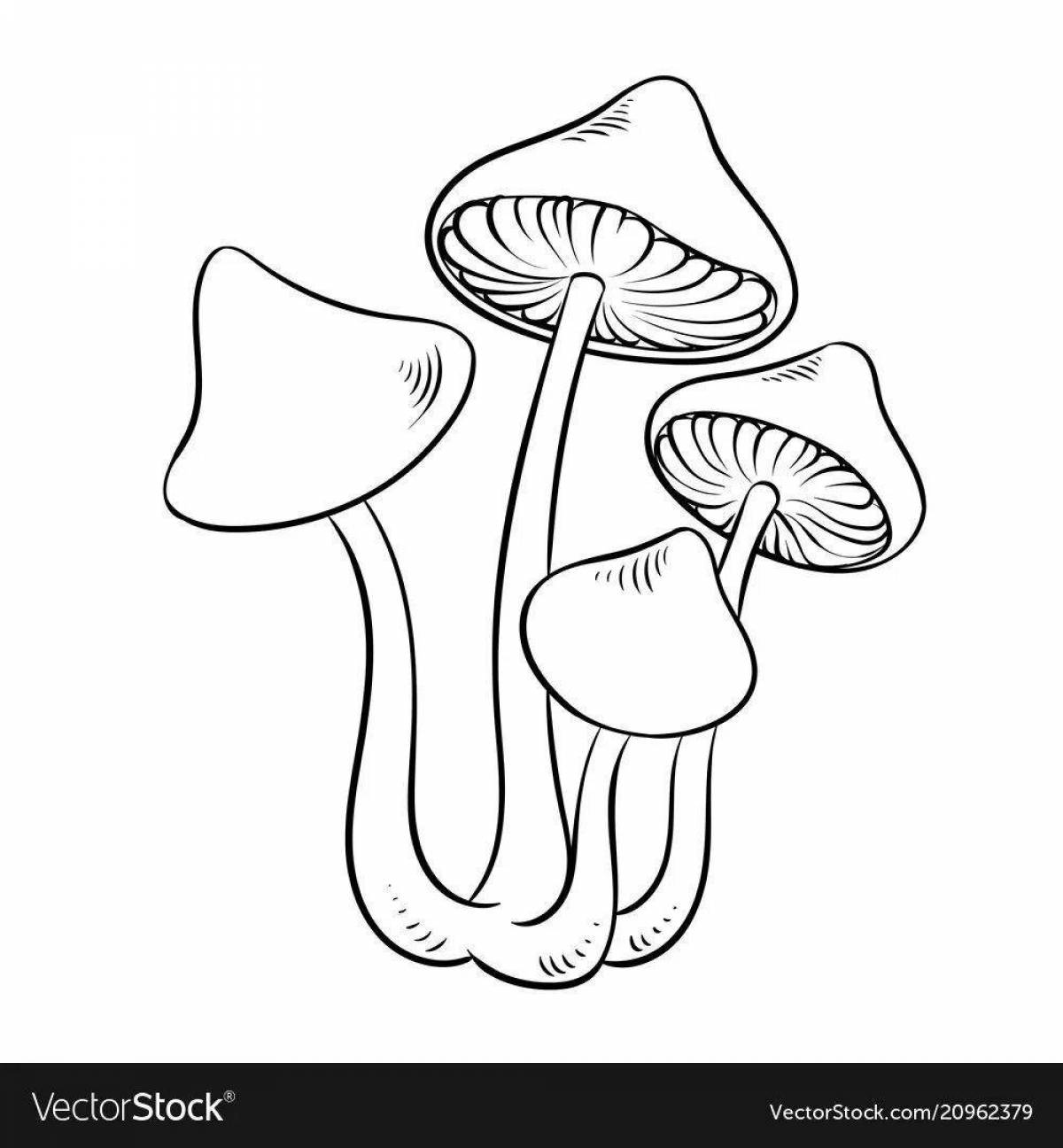 Elegant toadstool mushrooms