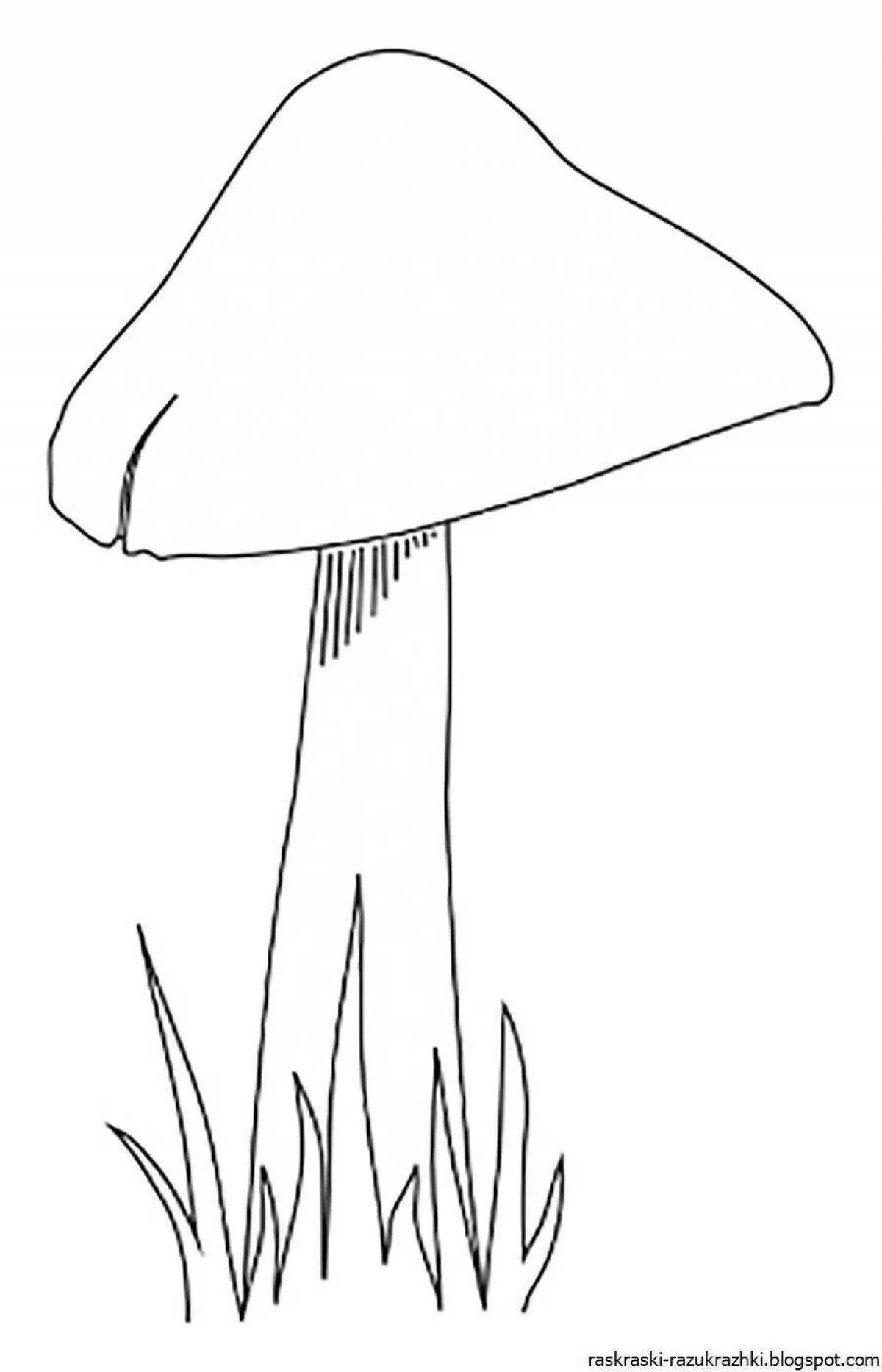 Безмятежные грибы-поганки