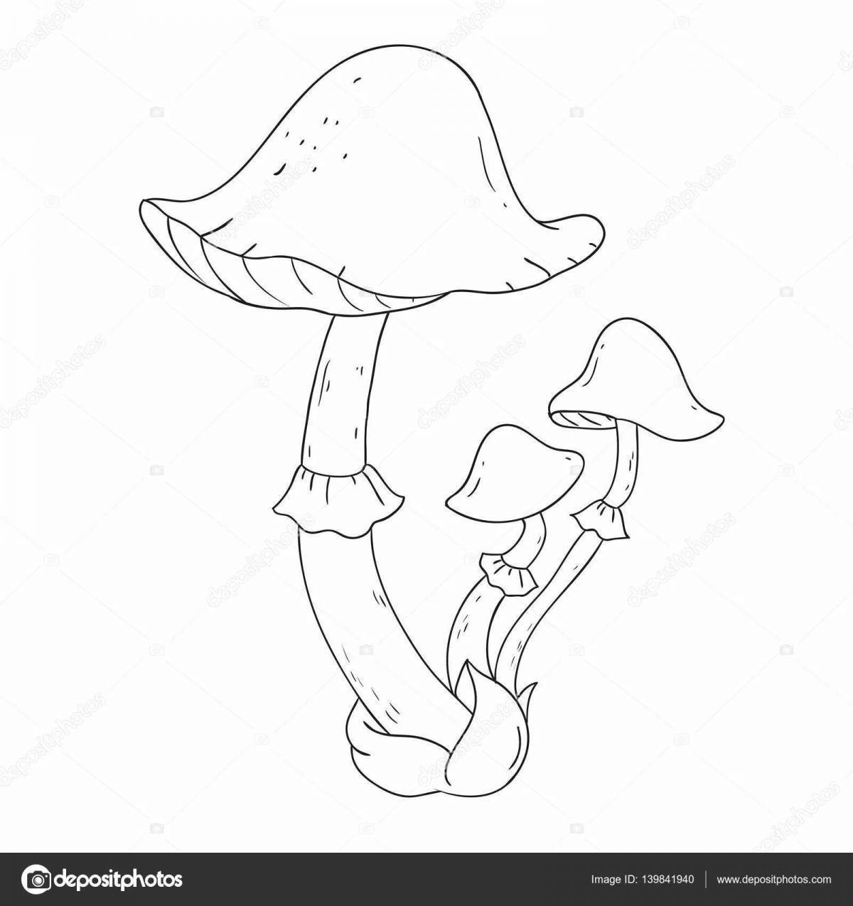 Incredible toadstool mushrooms
