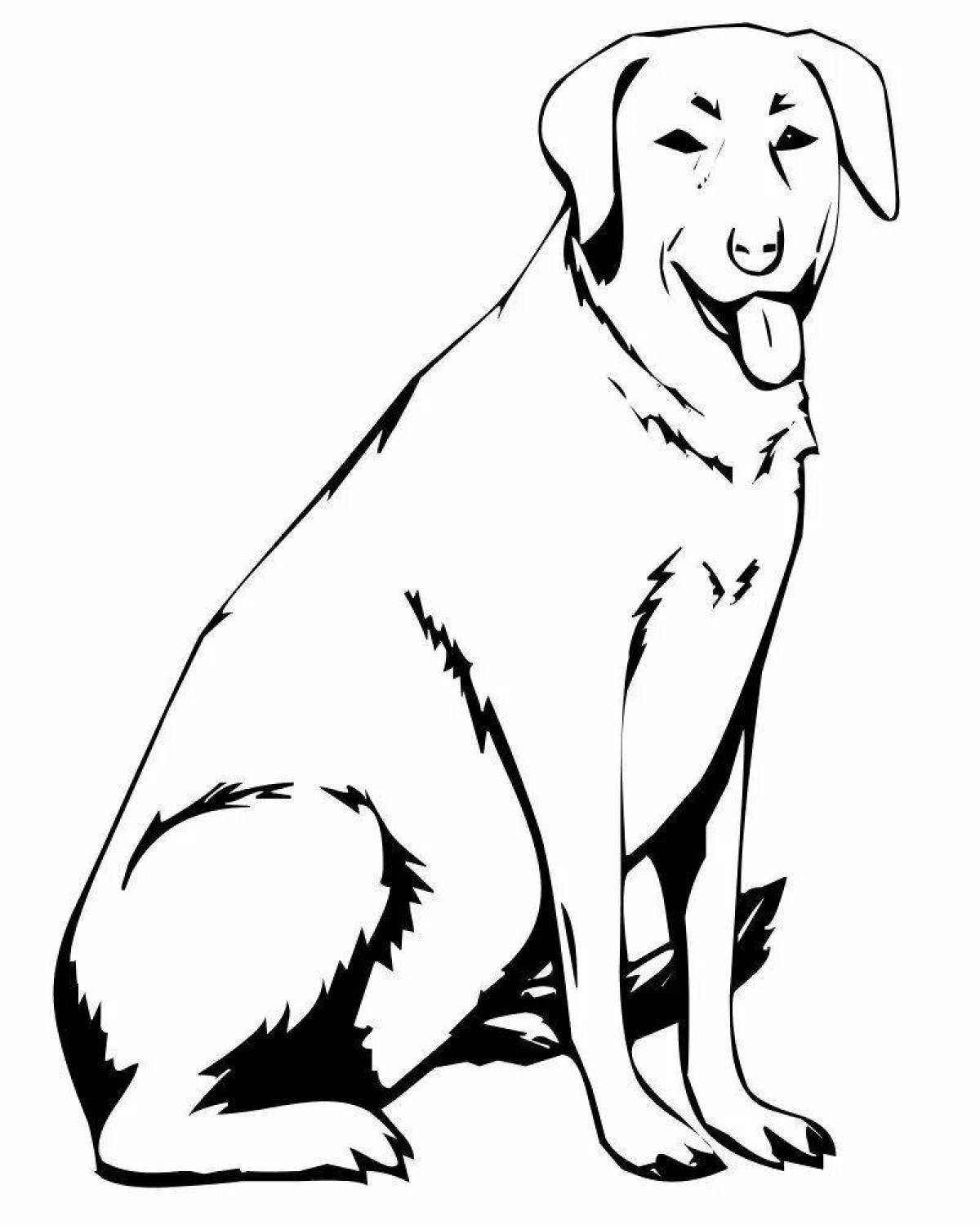 Colouring funny labrador puppy