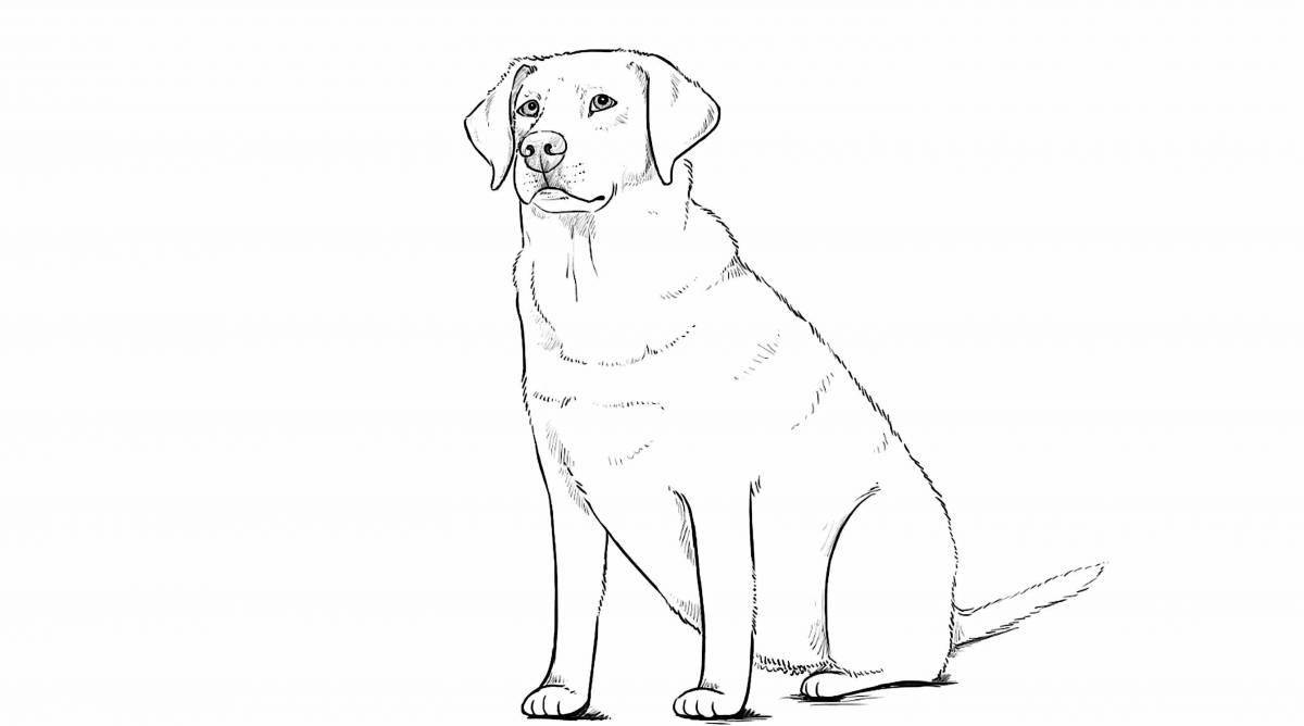 Coloring page mischievous labrador puppy