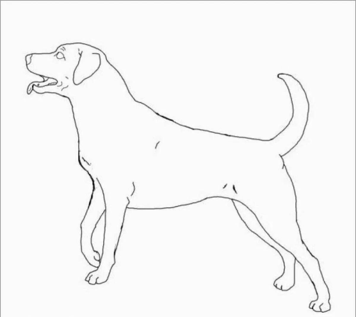 Coloring page freaky labrador puppy