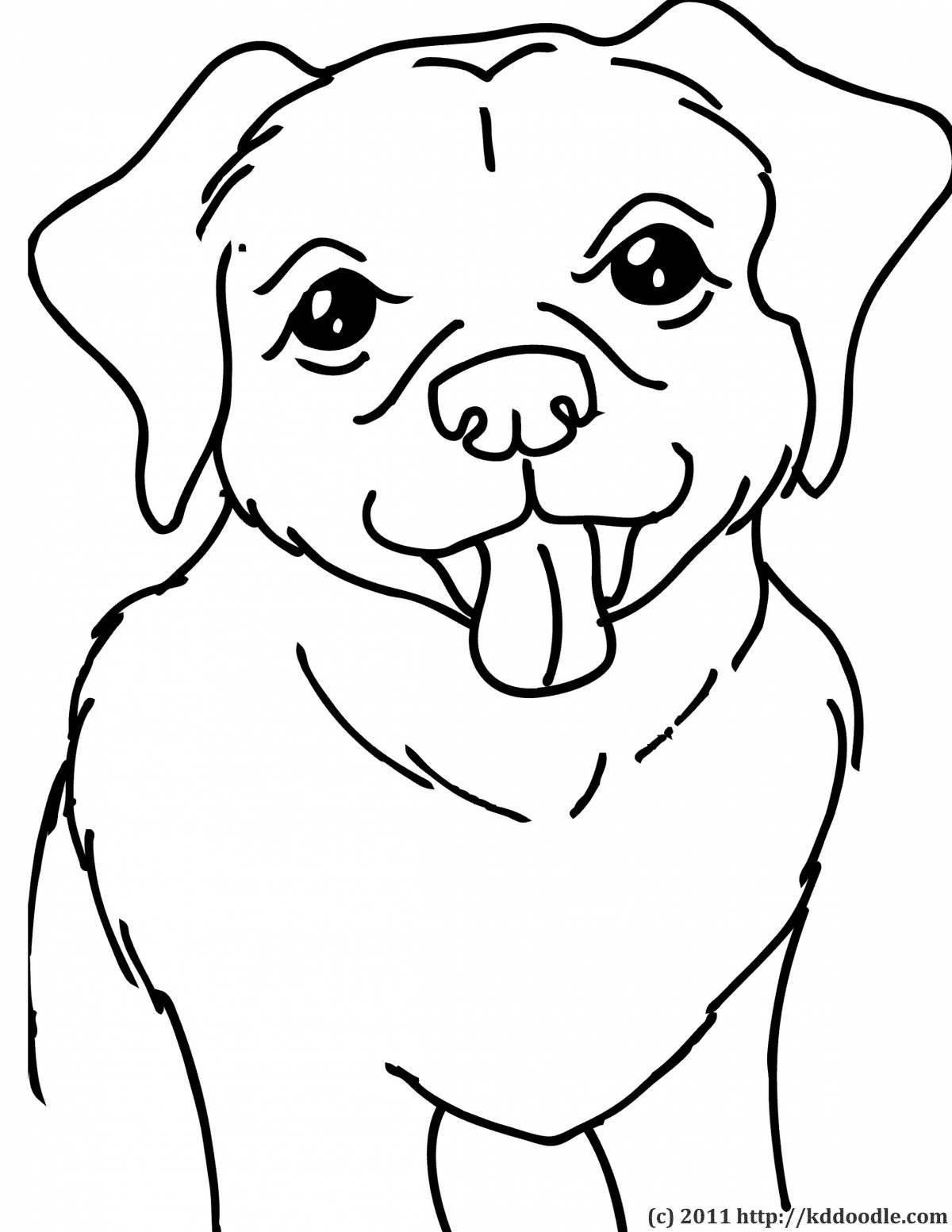 Coloring page inquisitive labrador puppy