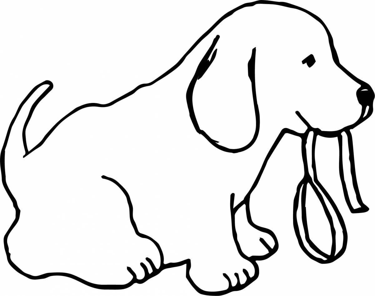 Colouring friendly labrador puppy