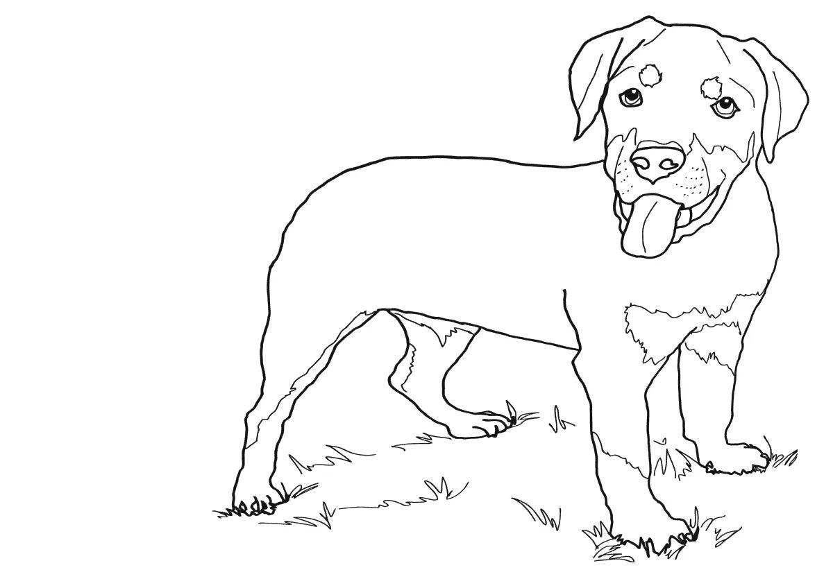 Coloring page loving labrador puppy