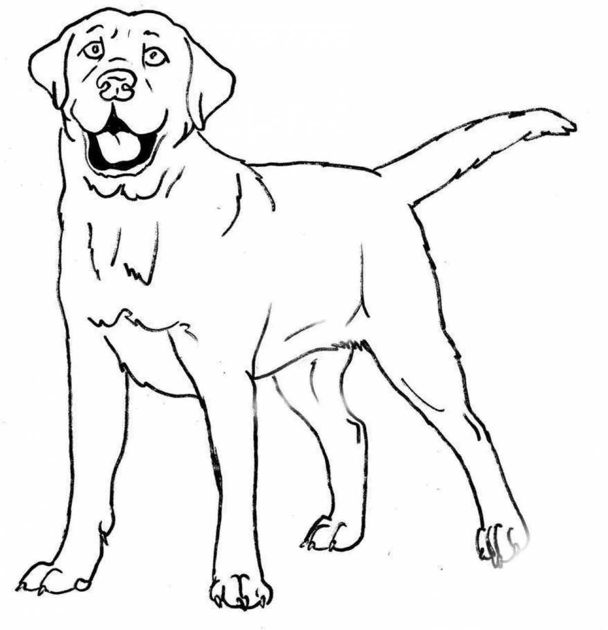 Adorable labrador puppy coloring book
