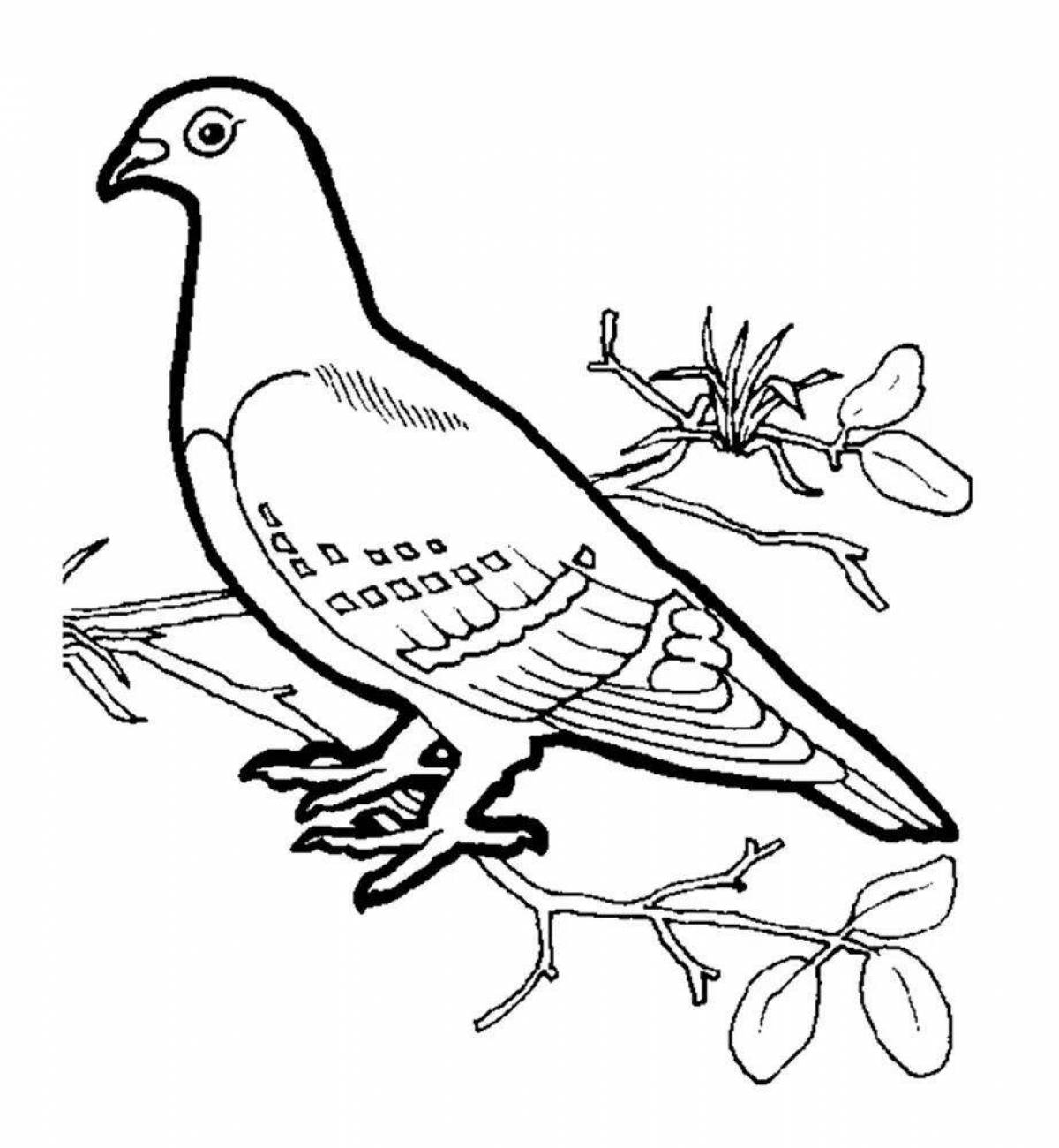 Radiant coloring page passenger pigeon