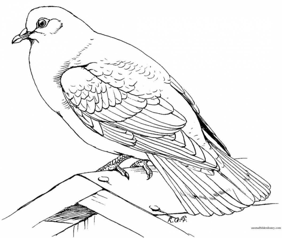 Great coloring book passenger pigeon