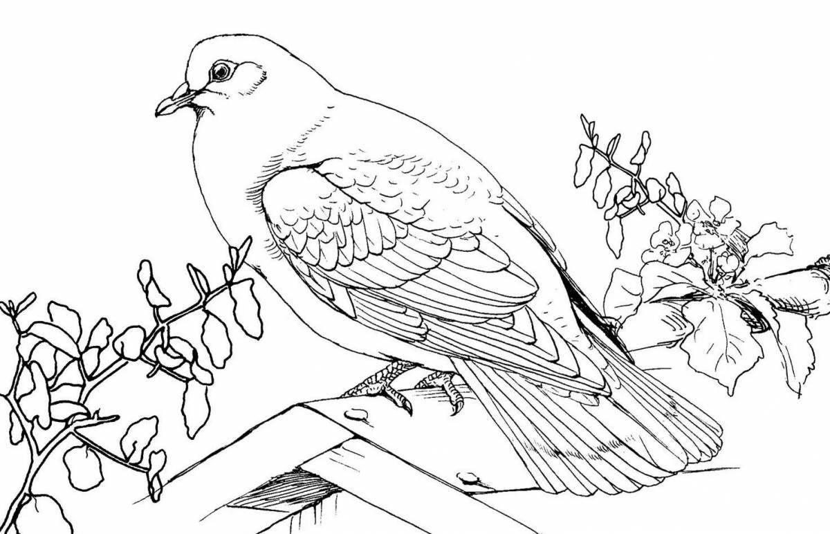 Great coloring book passenger pigeon