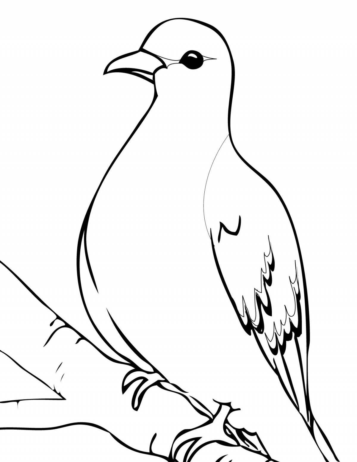 Glamor coloring passenger pigeon