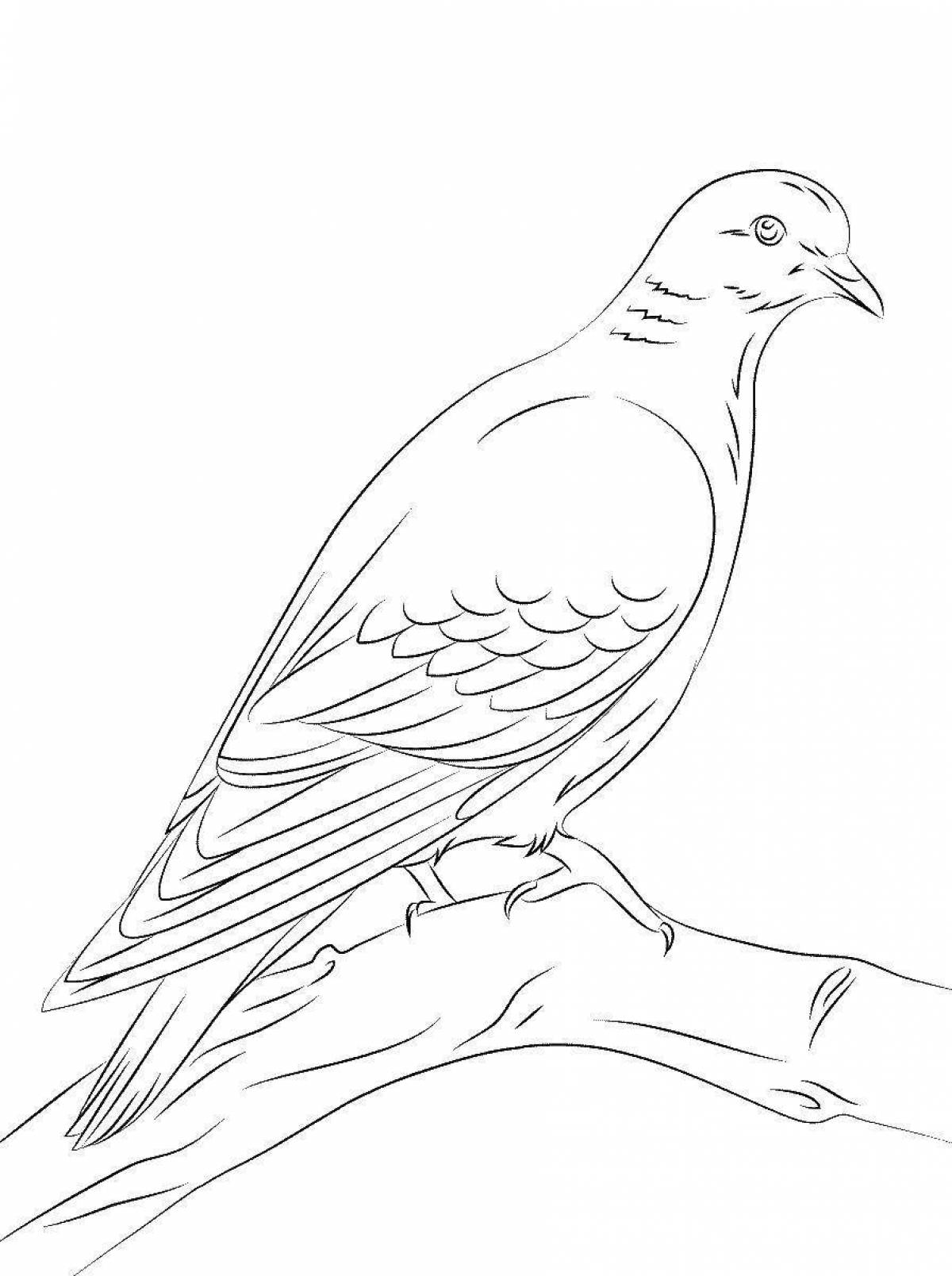 Joyful coloring passenger pigeon