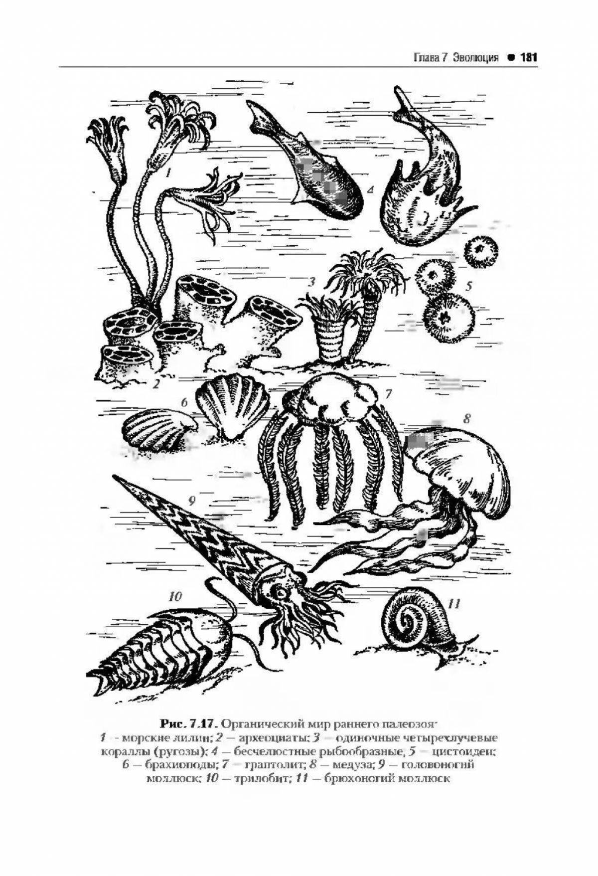 Bright Paleozoic coloring