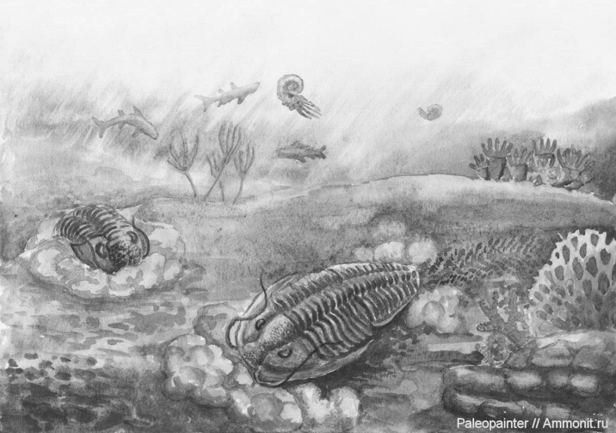 Adorable Paleozoic coloring book