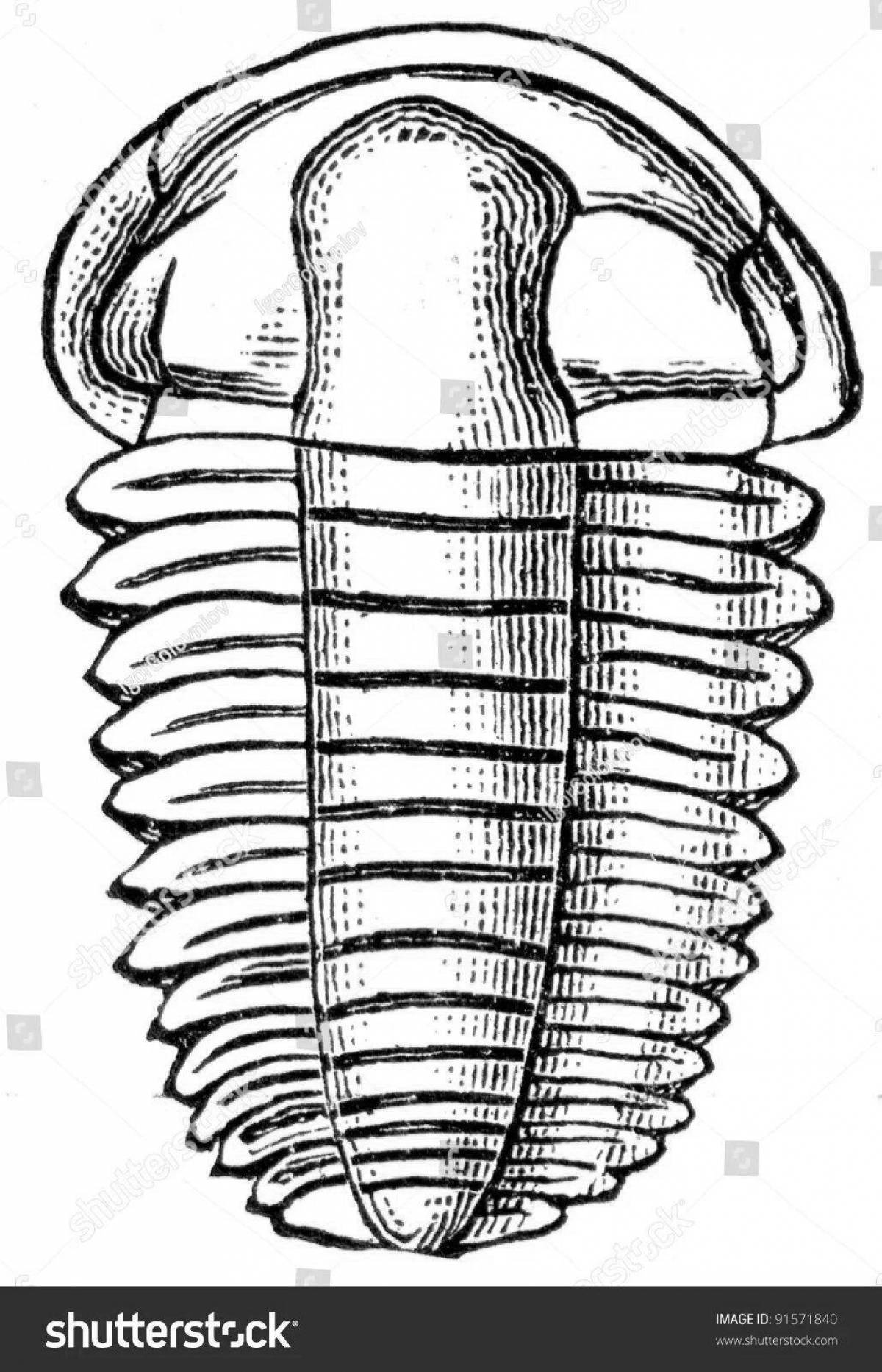 Magic Paleozoic coloring book