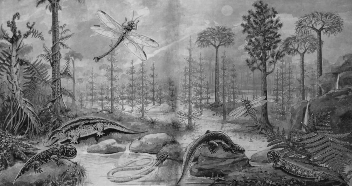 Beautiful Paleozoic coloring book