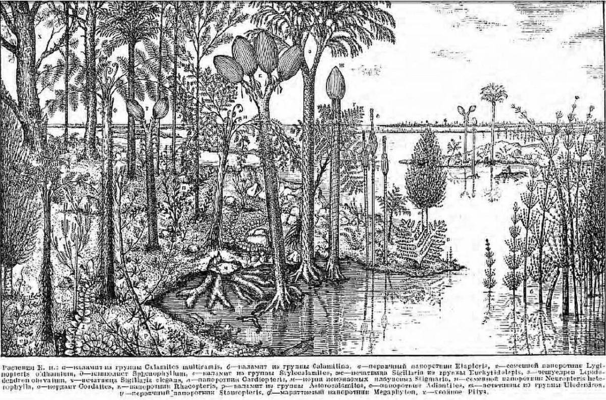 Cute paleozoic coloring book