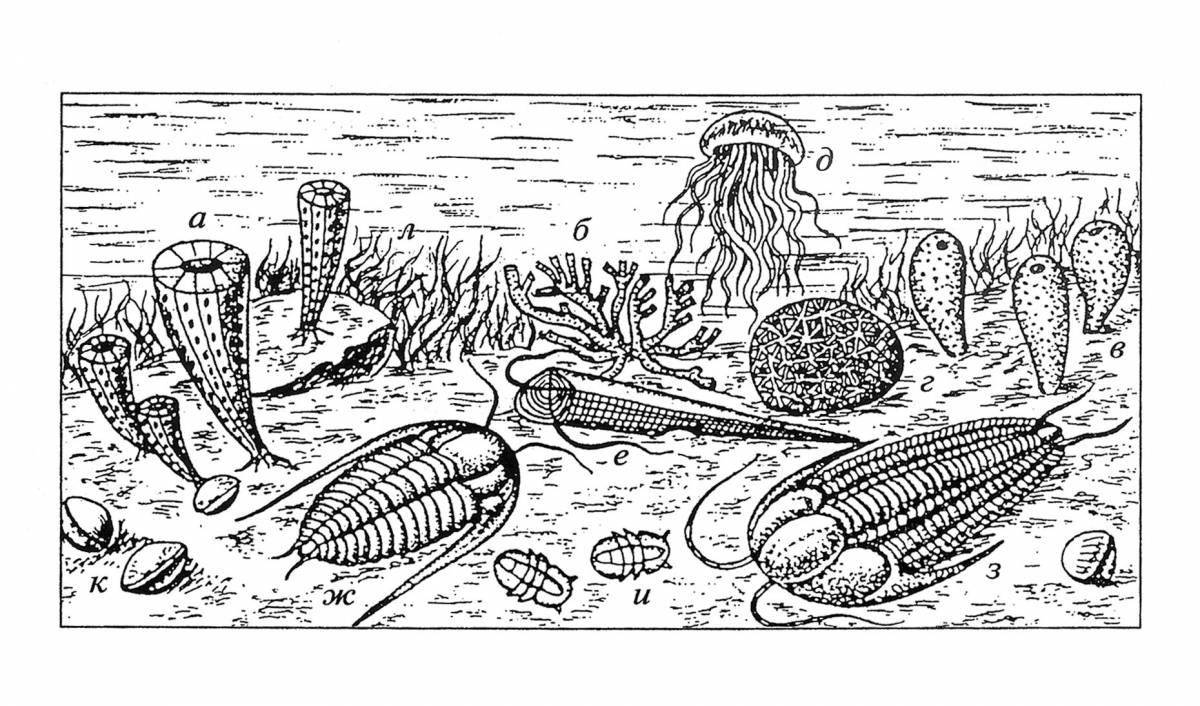 Touching paleozoic coloring book