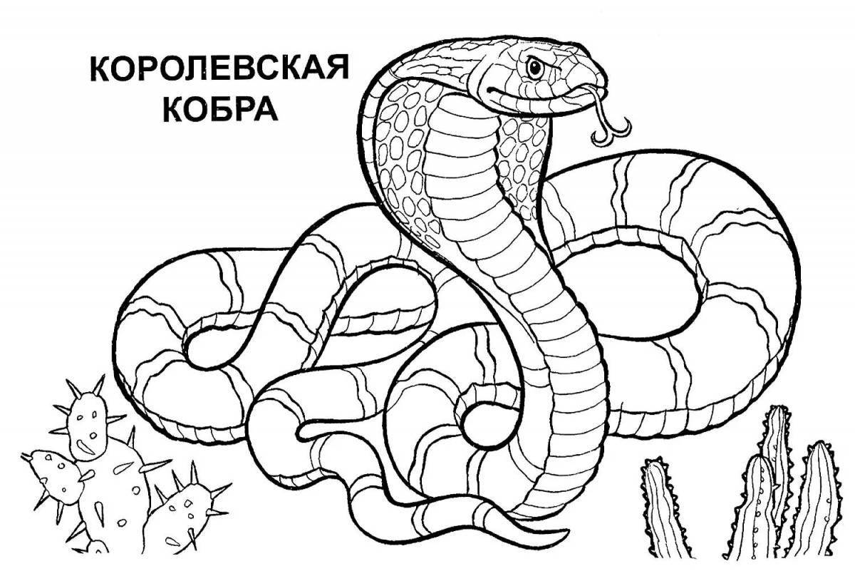 Photo Excellent coloring of poisonous animals