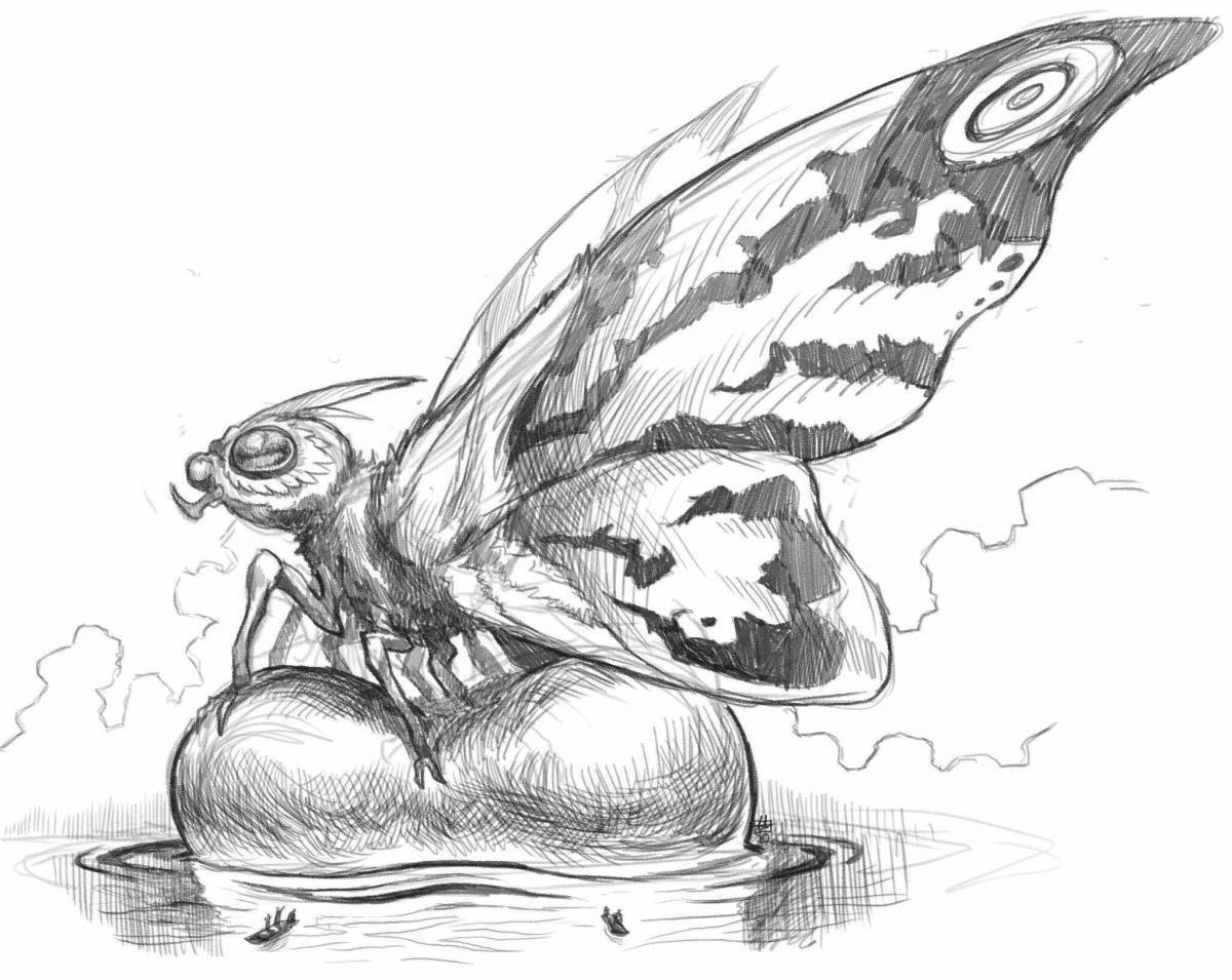 Dazzling mothra butterfly coloring book