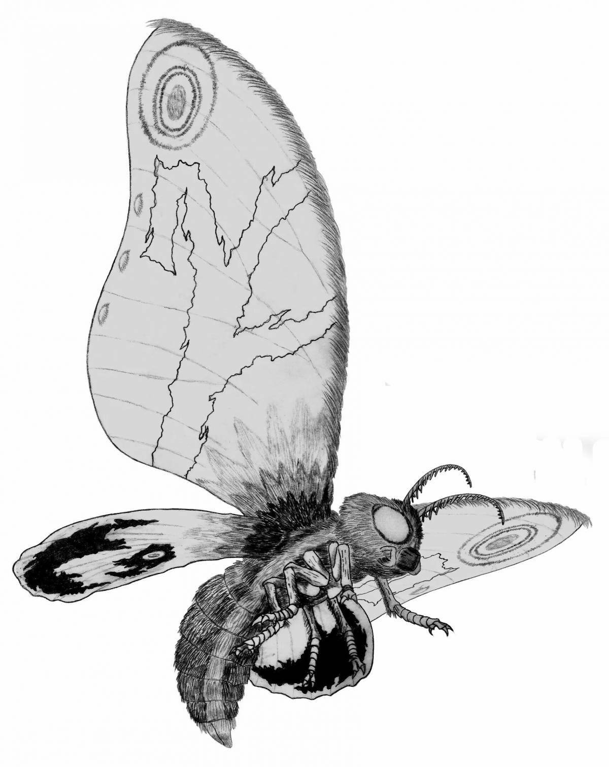 Perfect coloring mothra butterfly