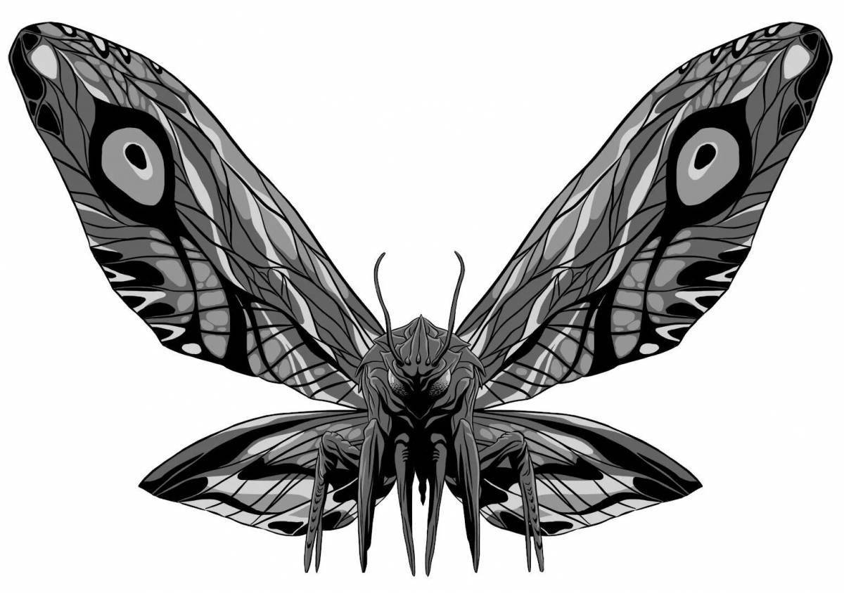 Экзотическая раскраска бабочка мотра
