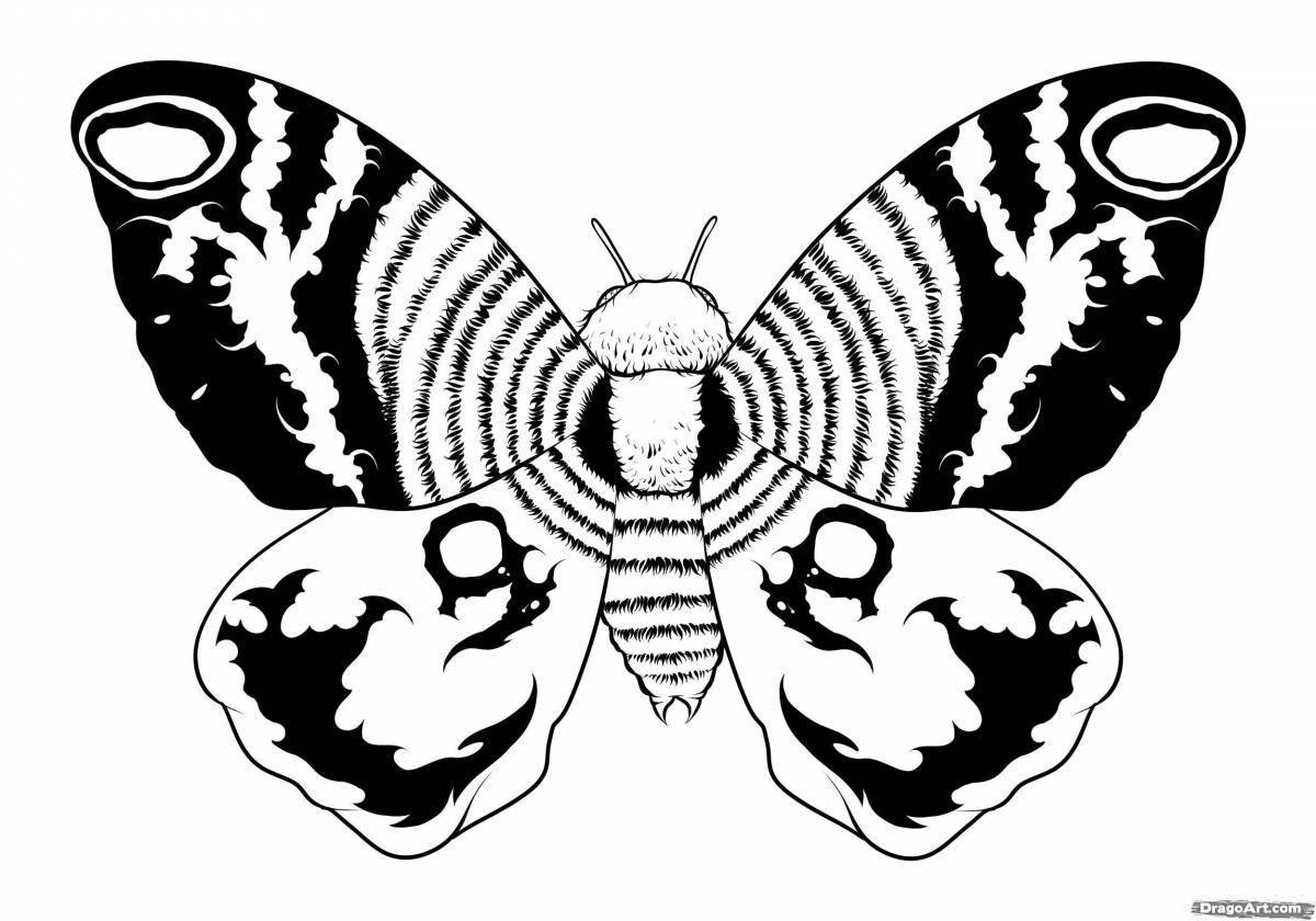 Impressive mothra butterfly coloring book
