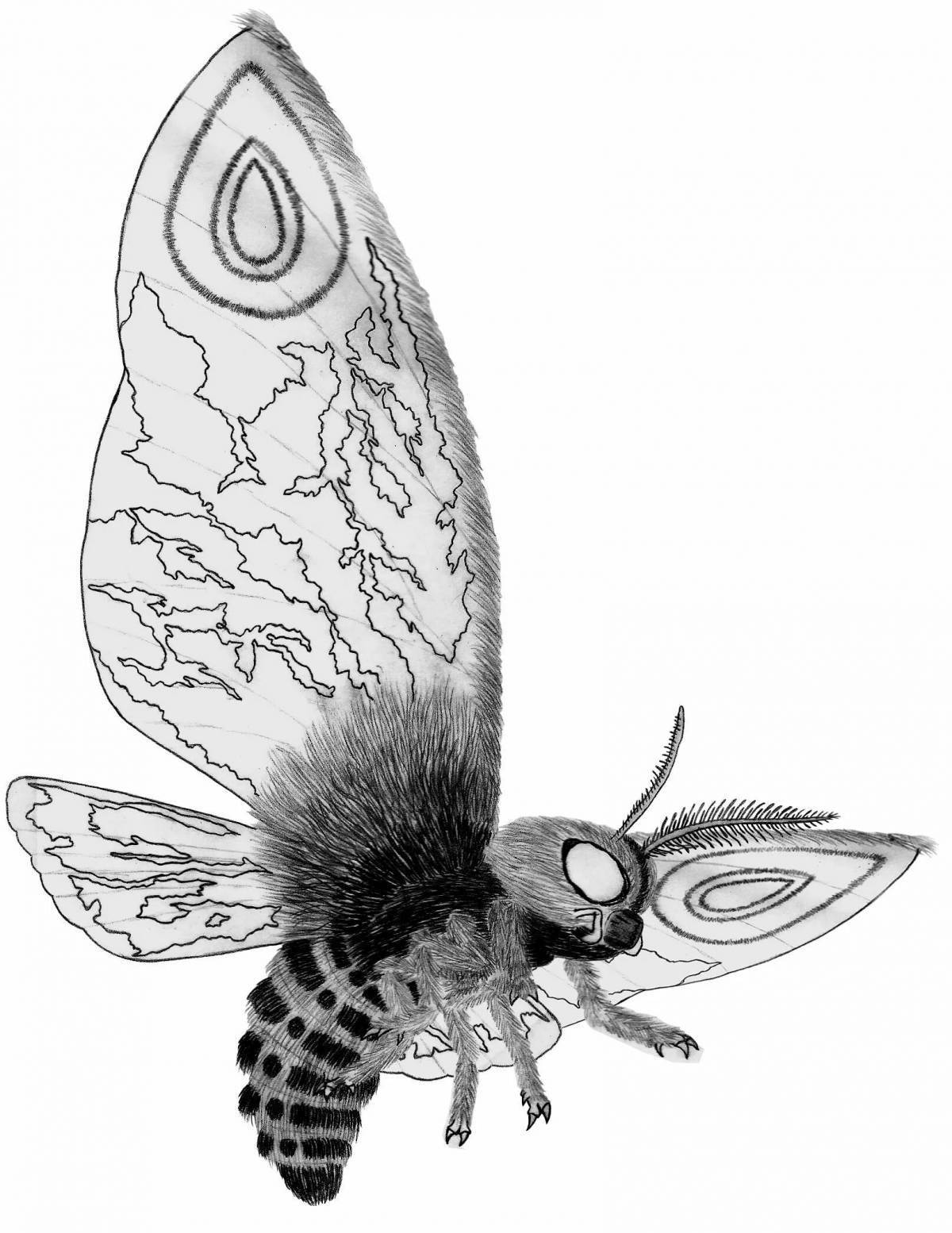 Wonderful Mothra Butterfly Coloring Page