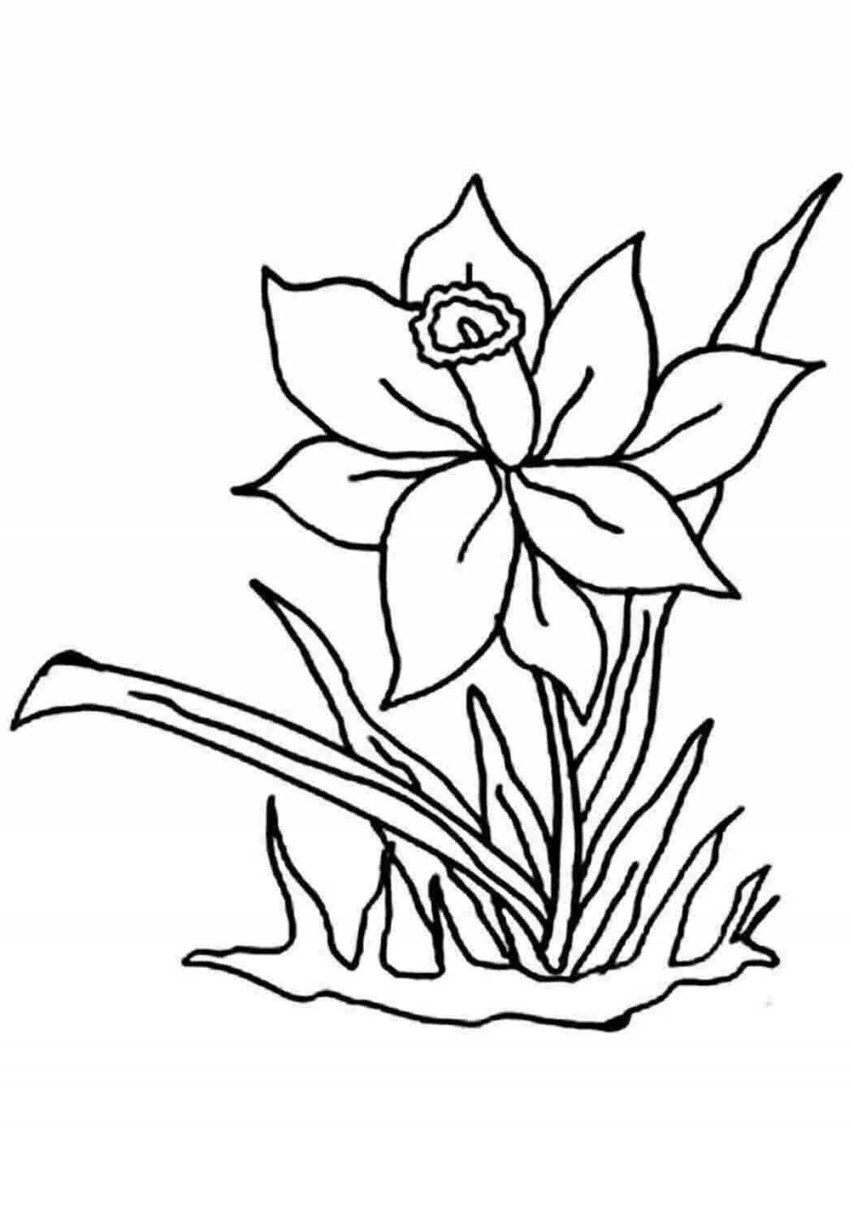Раскраска яркий лазорический цветок