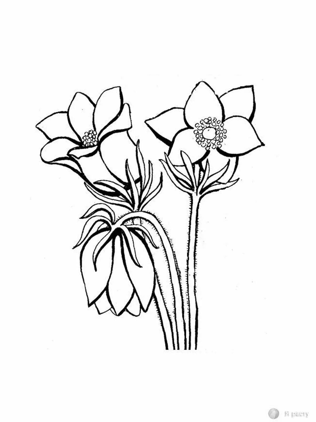 Coloring page gorgeous azure flower