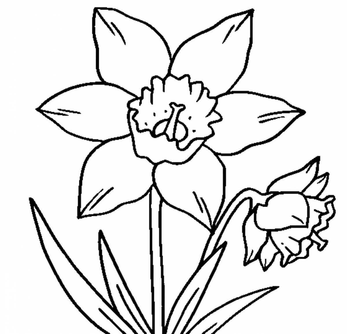 Colorful lazoric flower coloring page