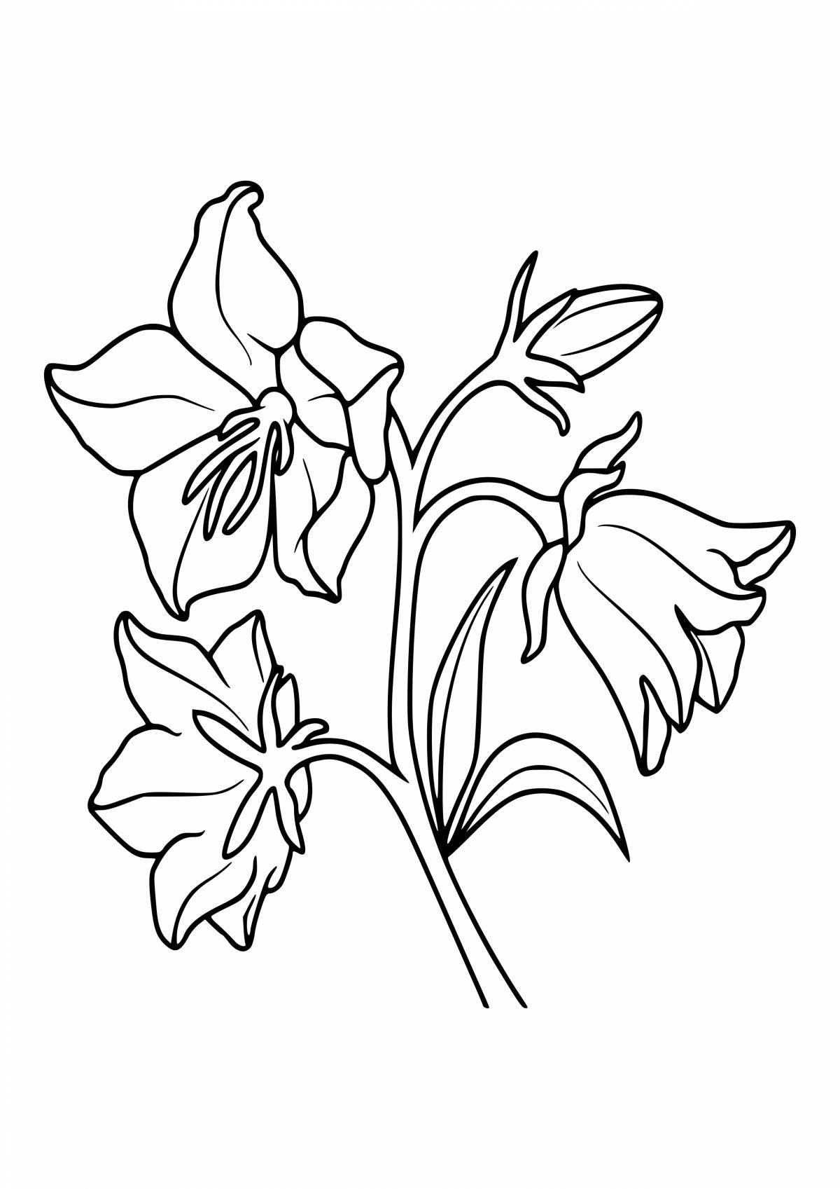 Playful lazoric flower coloring page