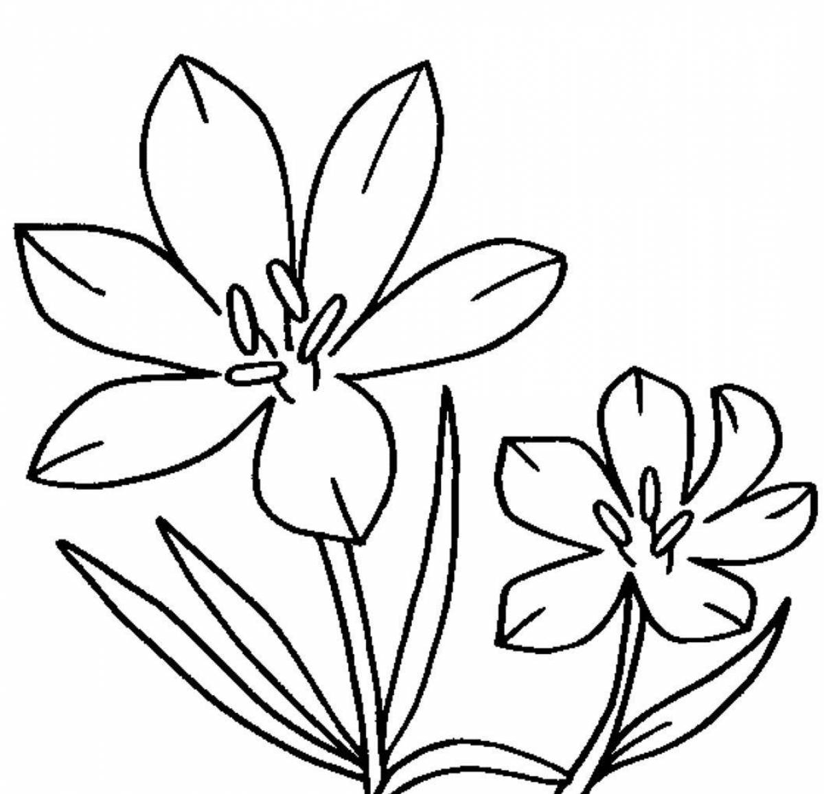 Раскраска радостный лазорический цветок