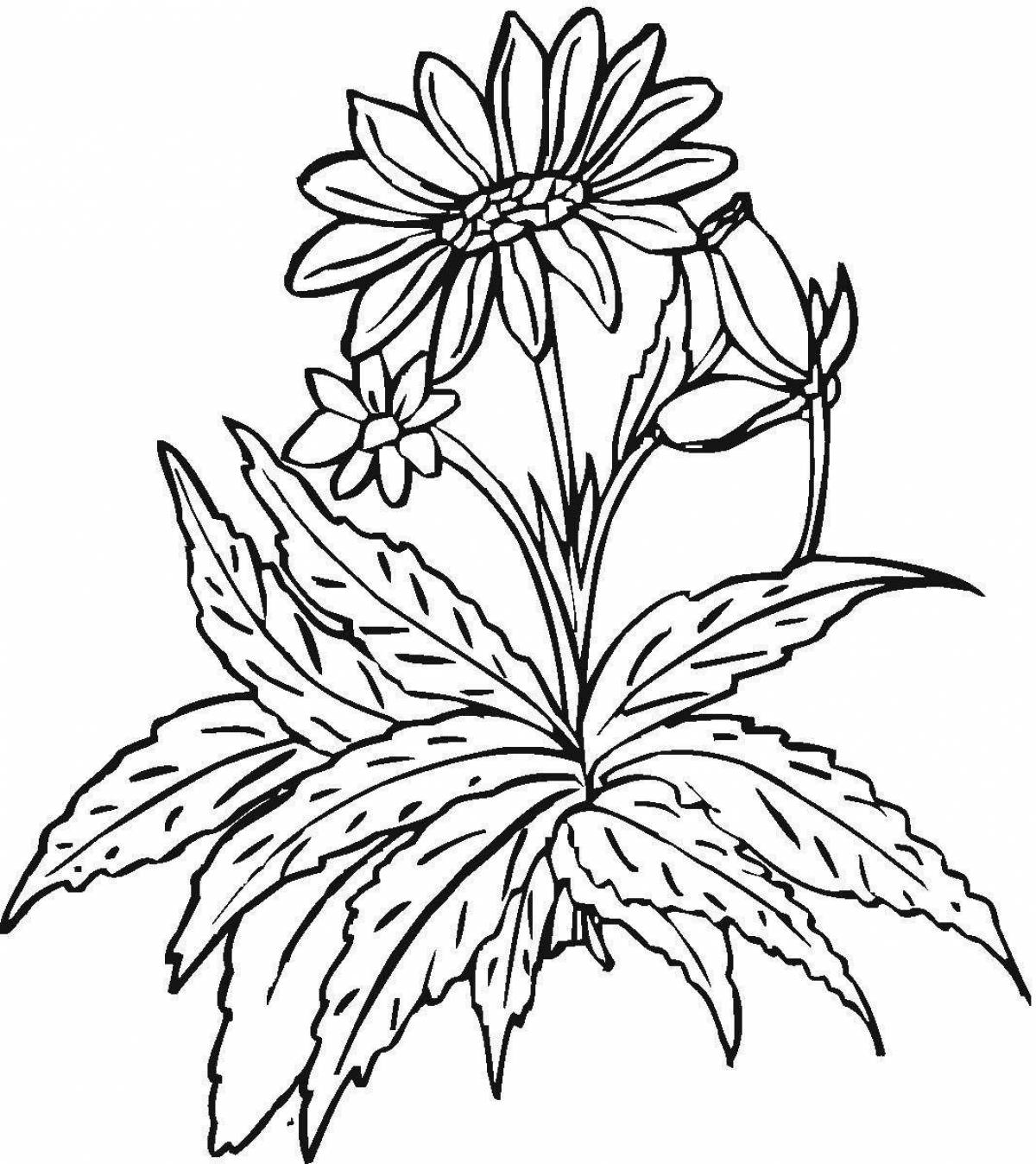 Coloring page peaceful azure flower