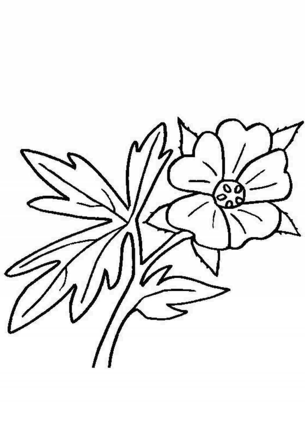 Coloring page exquisite azure flower