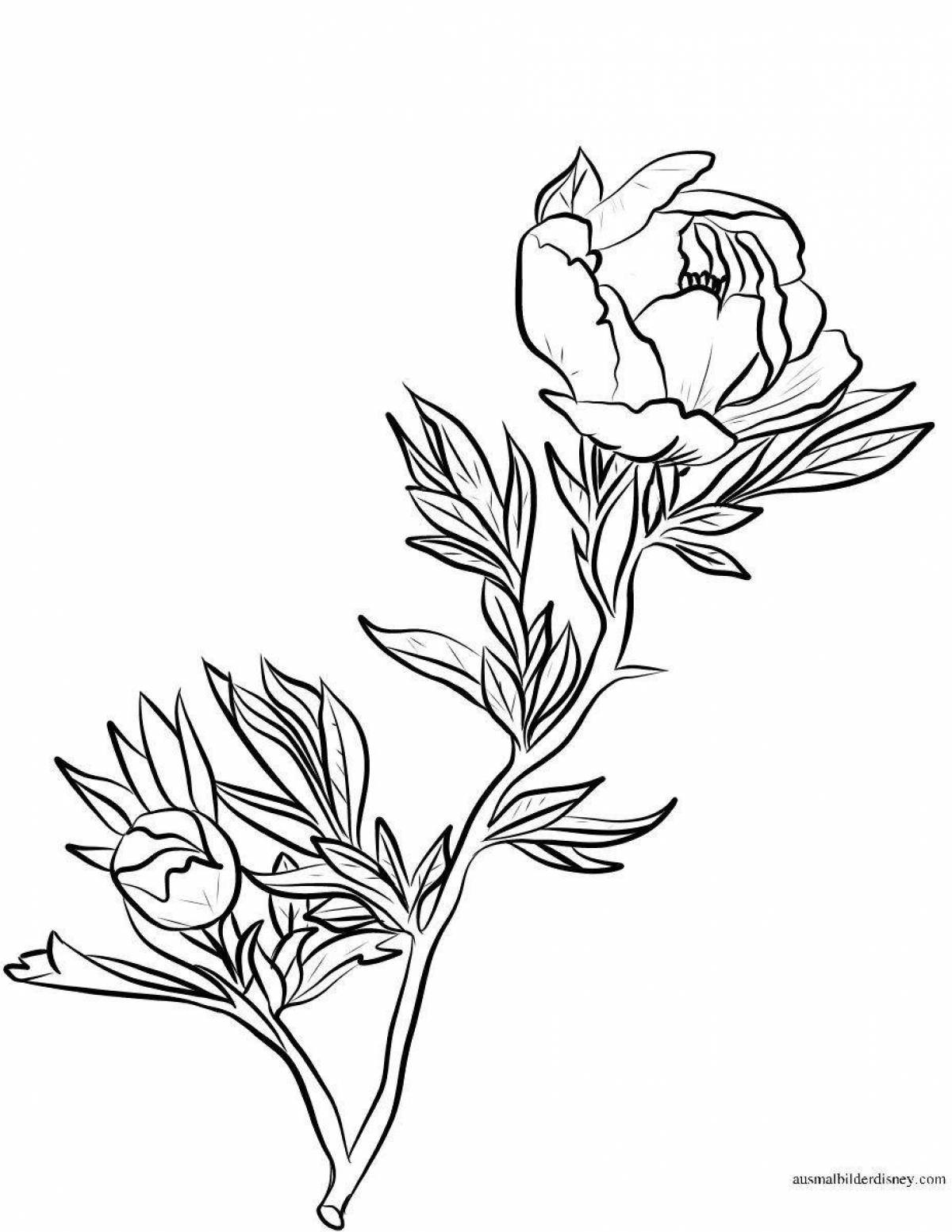 Coloring page graceful azure flower