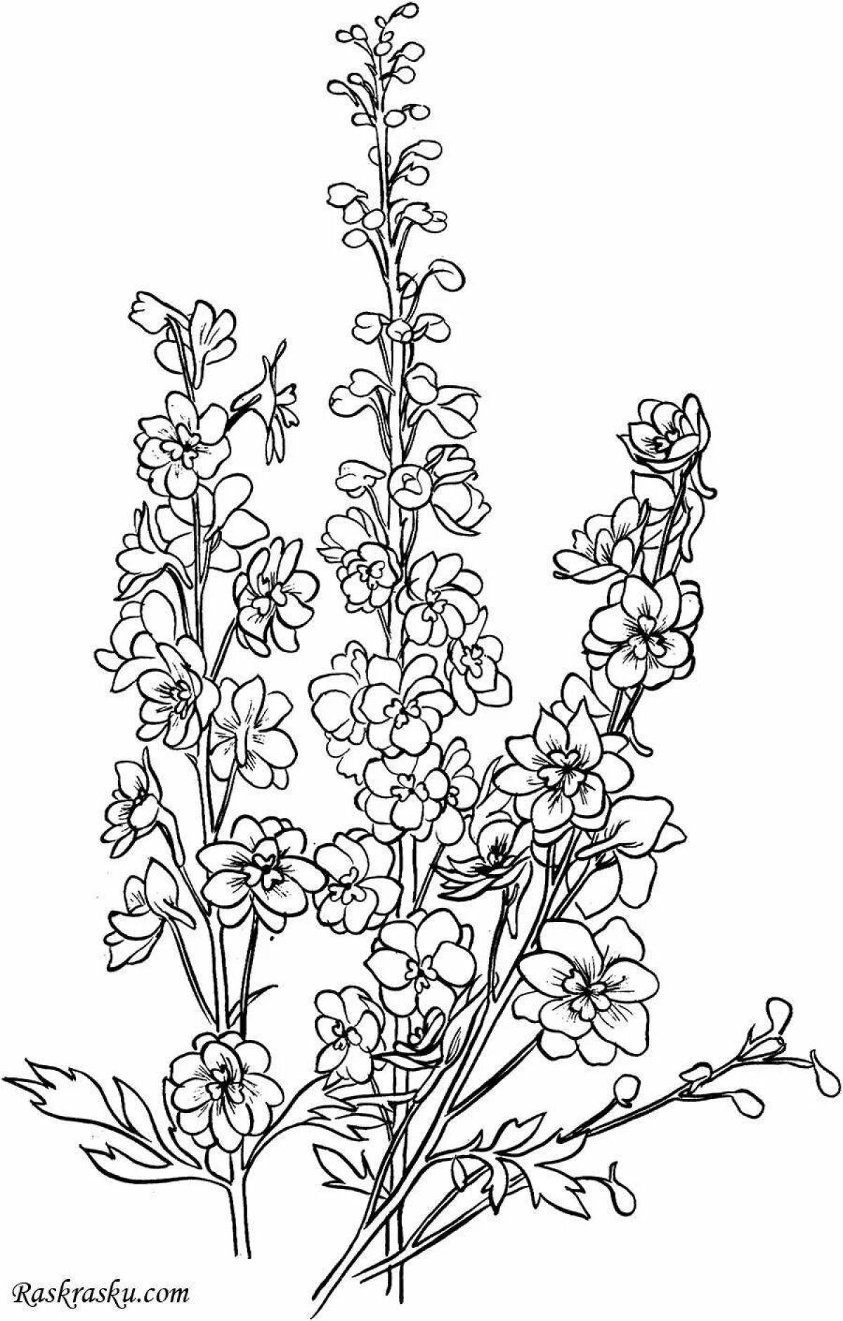 Adorable primrose corydalis coloring page