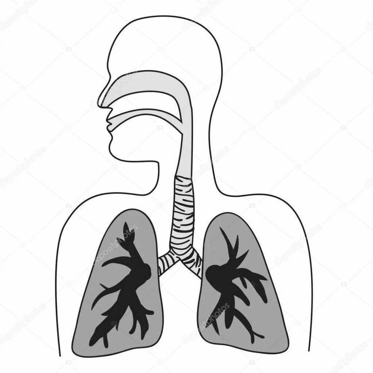Coloring page of complex respiratory system