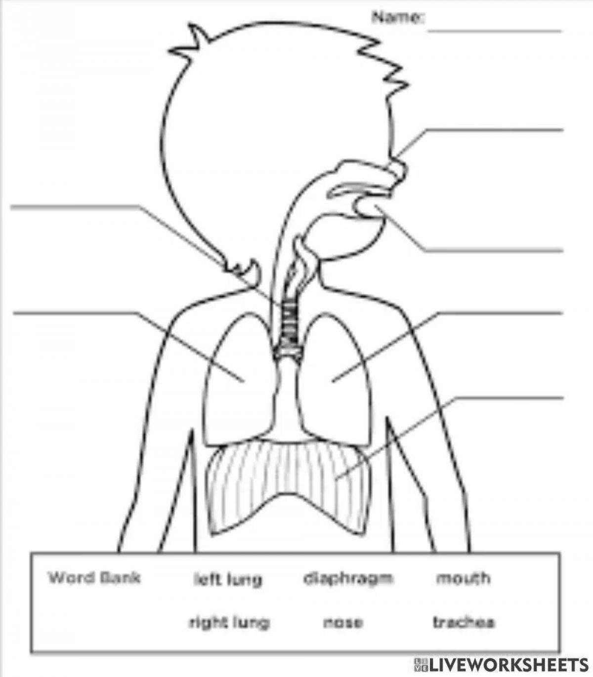 Coloring page stimulation of the respiratory system