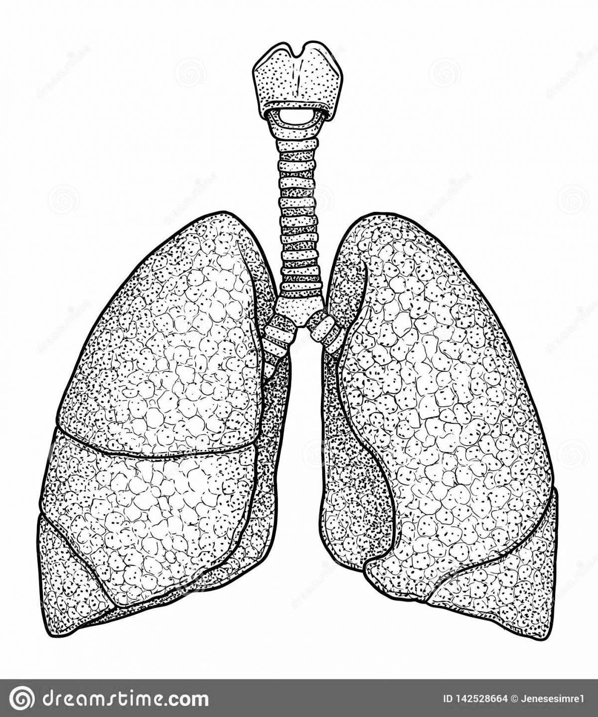 Яркая страница раскраски дыхательной системы