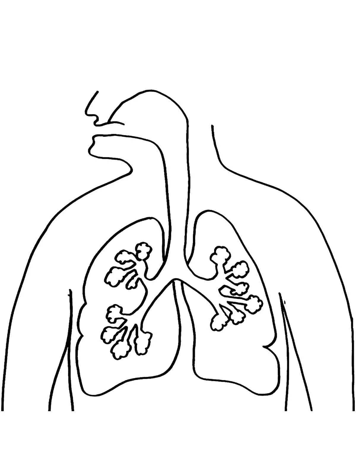 Веселая страница раскраски дыхательной системы
