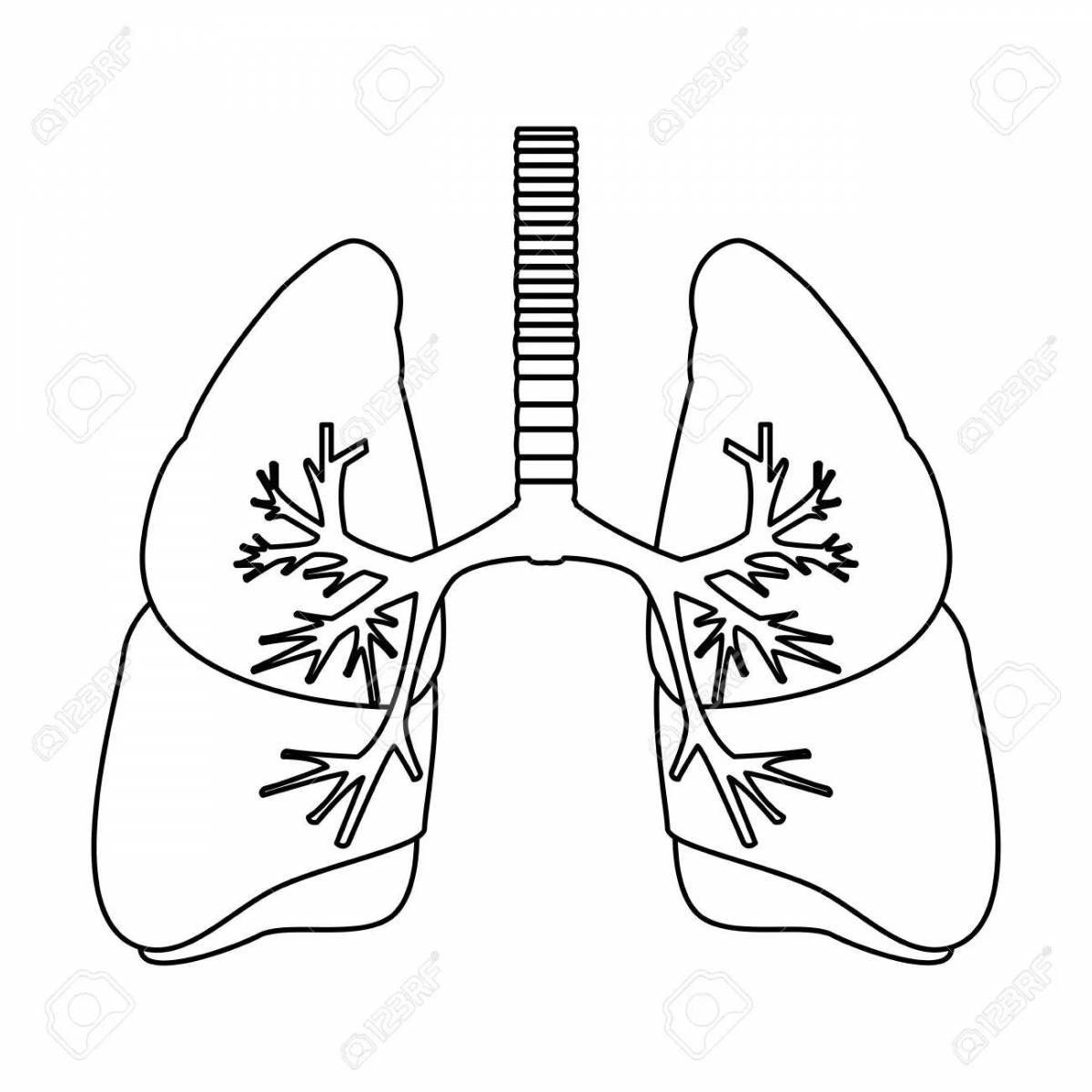 Дыхательная система #9
