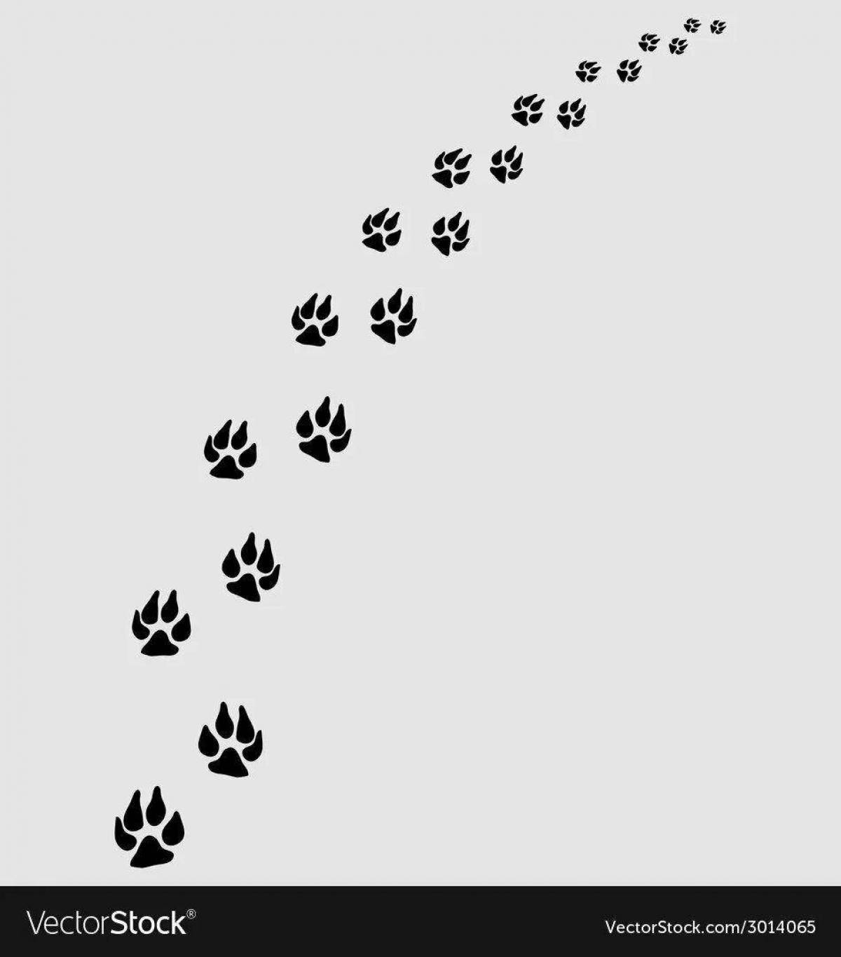 Coloring fox footprints