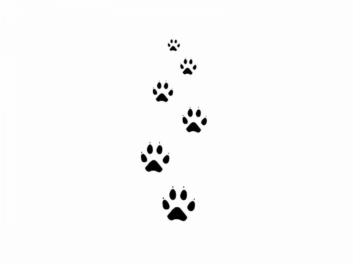 Coloring page dramatic fox footprints