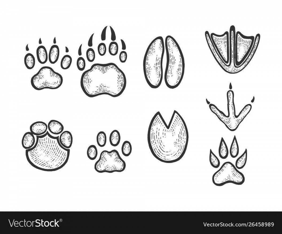 Coloring page dazzling fox footprints