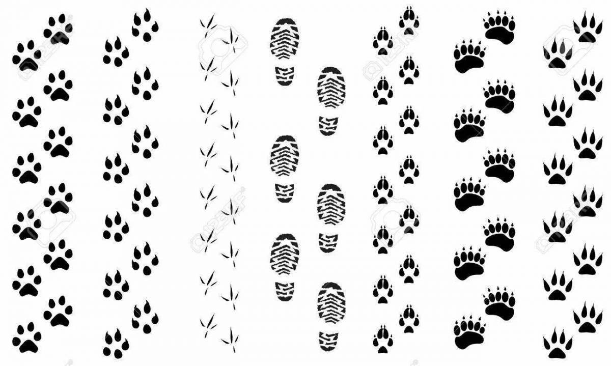 Coloring page glorious fox footprints