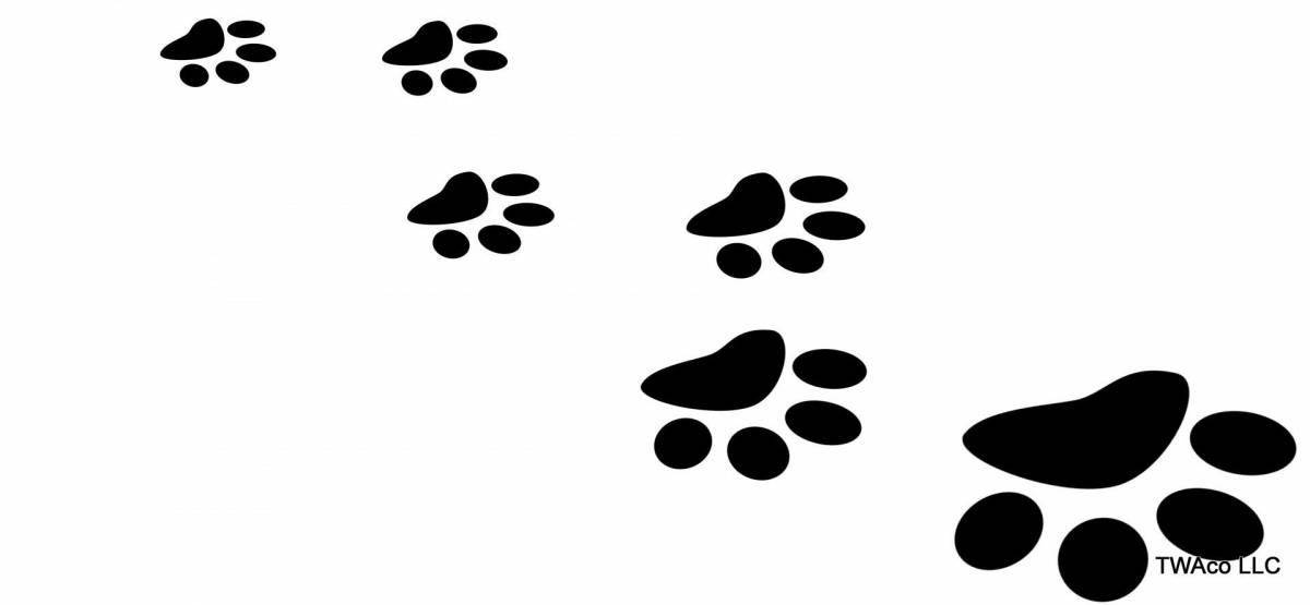 Coloring page gorgeous fox footprints